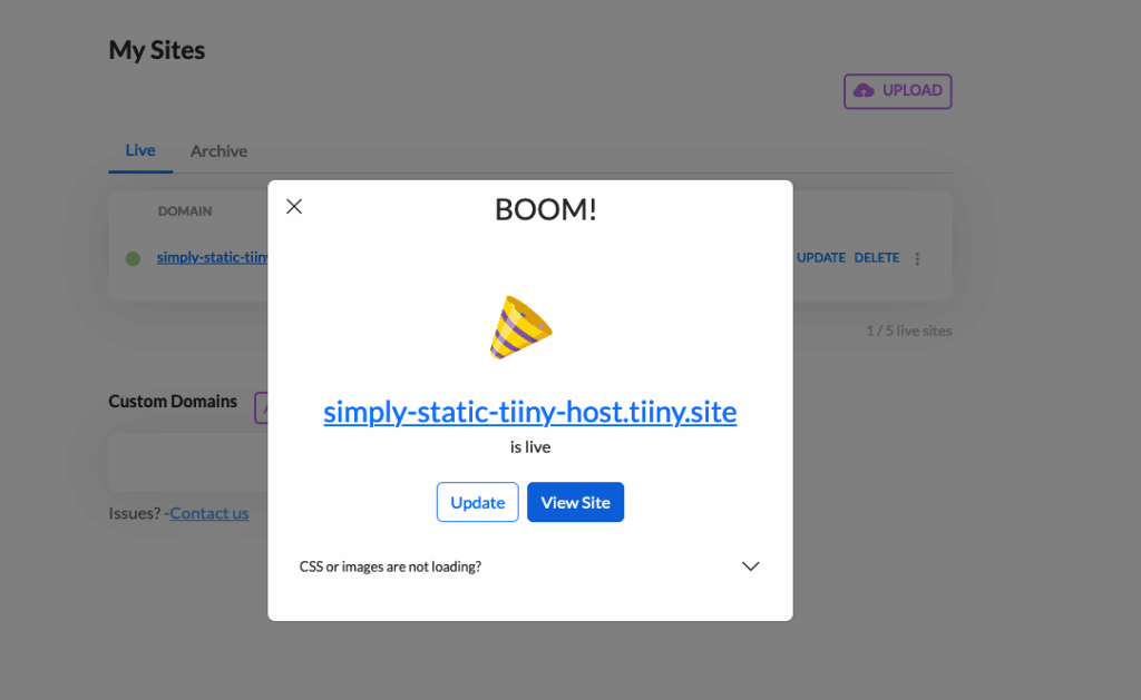 Zip file hosting on Tiiny.host with Simply Static 6